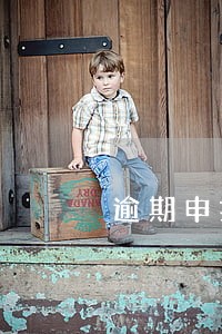 逾期申报债权的审查 逾期申报债权的审查