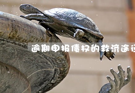 逾期申报债权的救济途径 逾期申报债权的救济途径