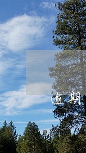 逾期申报债权认定 逾期申报债权认定