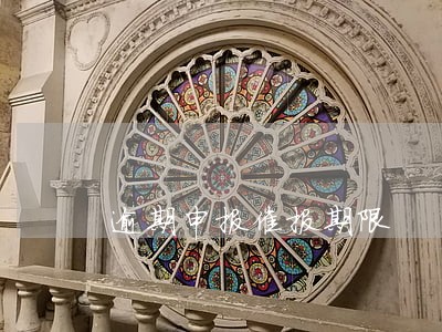 逾期申报催报期限 逾期申报催报期限