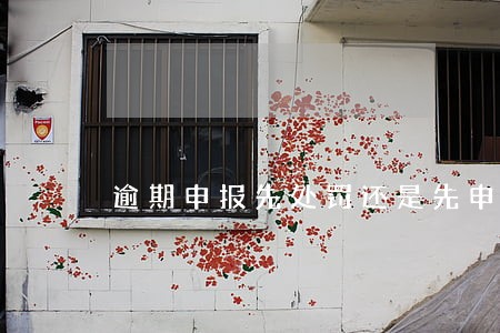 逾期申报先处罚还是先申报 逾期申报先处罚还是先申报