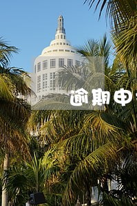 逾期申报免于处罚 逾期申报免于处罚