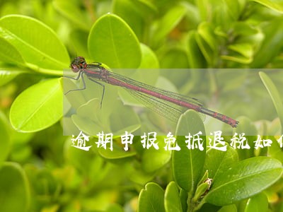 逾期申报免抵退税如何处理 逾期申报免抵退税如何处理