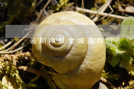 逾期申报全城通办吗 逾期申报全城通办吗