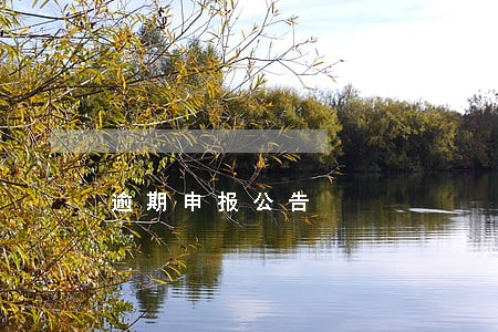 逾期申报公告 逾期申报公告