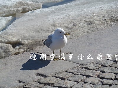 逾期申报写什么原因呢 逾期申报写什么原因呢