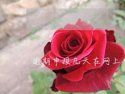 逾期申报几天在网上申报了成功了 逾期申报几天在网上申报了成功了