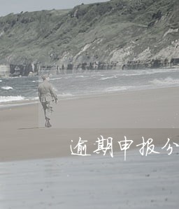 逾期申报分析 逾期申报分析