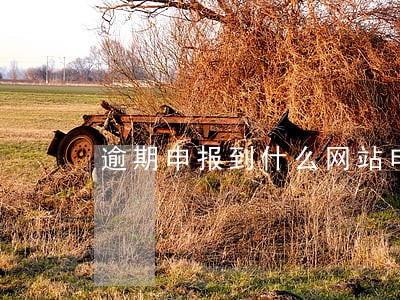 逾期申报到什么网站申请
