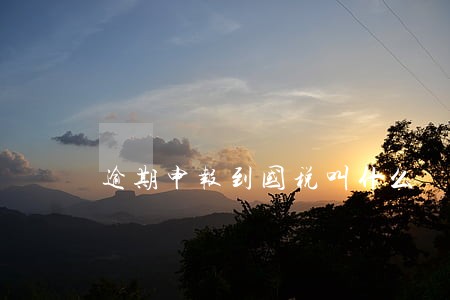 逾期申报到国税叫什么 逾期申报到国税叫什么