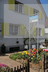 逾期申报到税款要当时扣吗 逾期申报到税款要当时扣吗