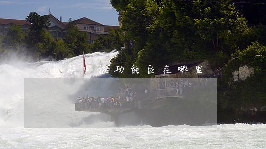 逾期申报功能区在哪里 逾期申报功能区在哪里