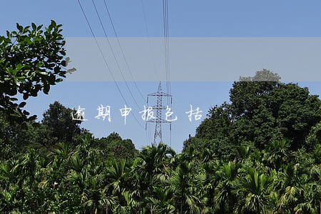 逾期申报包括 逾期申报包括