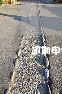 逾期申报印花扣积分 逾期申报印花扣积分