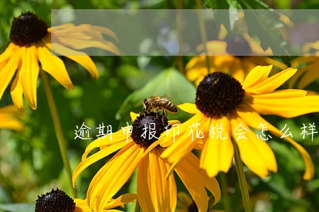 逾期申报印花税会怎么样 逾期申报印花税会怎么样