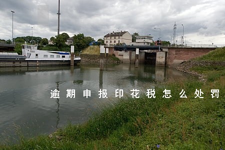 逾期申报印花税怎么处罚 逾期申报印花税怎么处罚