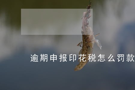 逾期申报印花税怎么罚款 逾期申报印花税怎么罚款