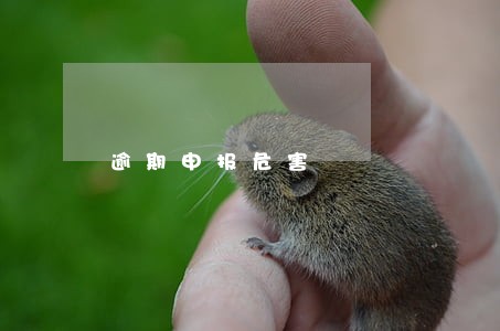 逾期申报危害 逾期申报危害