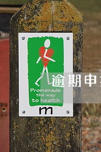 逾期申报原因 逾期申报原因