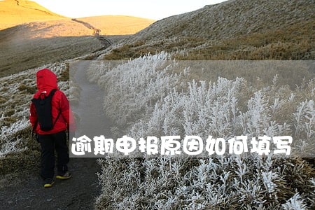 逾期申报原因如何填写 逾期申报原因如何填写