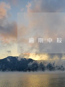 逾期申报原因有哪些 逾期申报原因有哪些