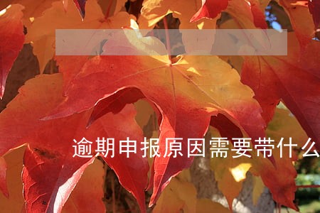 逾期申报原因需要带什么资料 逾期申报原因需要带什么资料