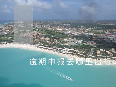 逾期申报去哪里出行政处罚罚单 逾期申报去哪里出行政处罚罚单