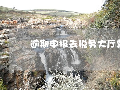 逾期申报去税务大厅需要什么资料 逾期申报去税务大厅需要什么资料