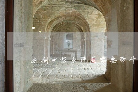 逾期申报去税局需要带什么 逾期申报去税局需要带什么