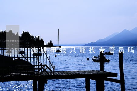 逾期申报只能找专管员吗 逾期申报只能找专管员吗