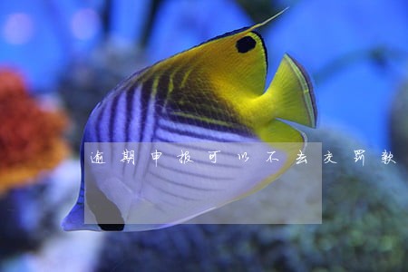 逾期申报可以不去交罚款吗 逾期申报可以不去交罚款吗