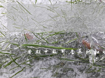 逾期申报可以再抵扣吗 逾期申报可以再抵扣吗