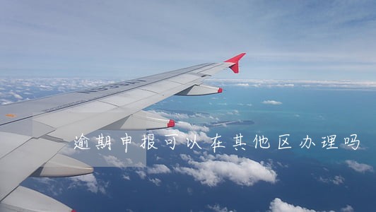 逾期申报可以在其他区办理吗