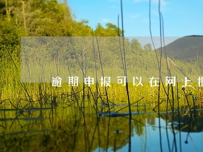 逾期申报可以在网上报吗 逾期申报可以在网上报吗