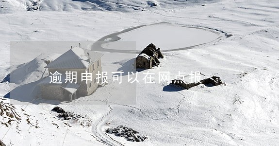 逾期申报可以在网点报
