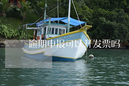 逾期申报可以开发票吗