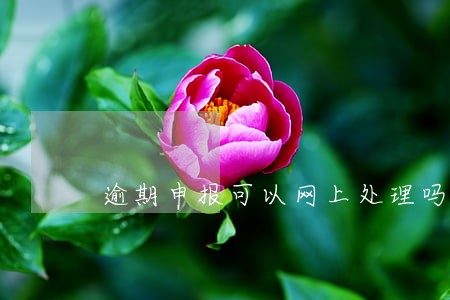 逾期申报可以网上处理吗