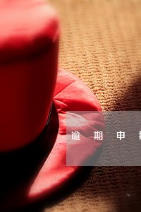 逾期申报可否申请延期申报 逾期申报可否申请延期申报