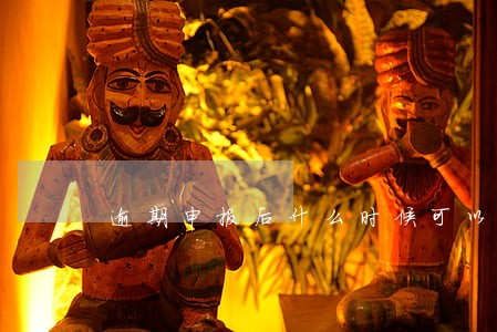 逾期申报后什么时候可以开发票 逾期申报后什么时候可以开发票