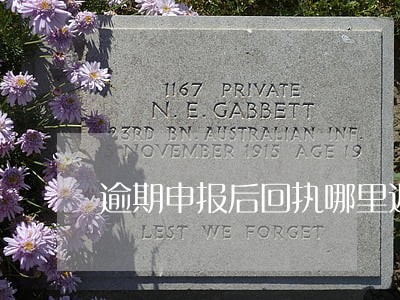 逾期申报后回执哪里返灰 逾期申报后回执哪里返灰