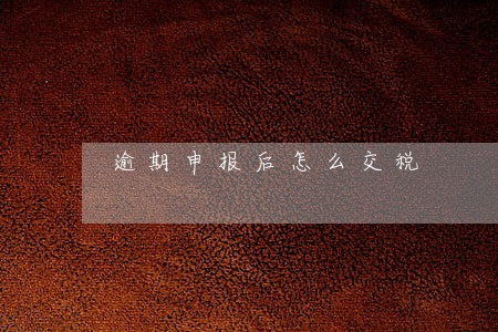 逾期申报后怎么交税 逾期申报后怎么交税
