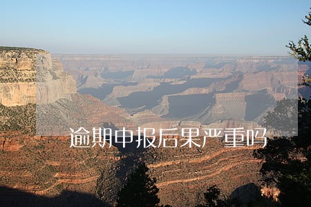 逾期申报后果严重吗 逾期申报后果严重吗