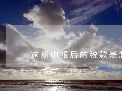逾期申报后的税款是怎么交的