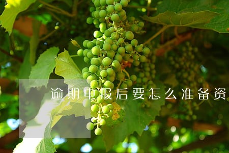 逾期申报后要怎么准备资料 逾期申报后要怎么准备资料