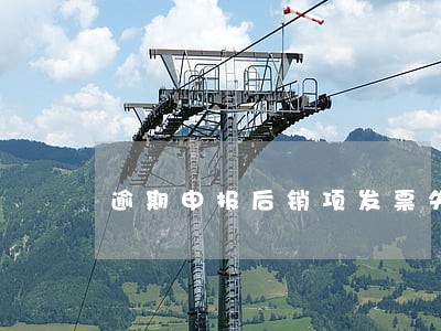 逾期申报后销项发票失控 逾期申报后销项发票失控