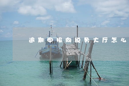 逾期申报向税务大厅怎么处理 逾期申报向税务大厅怎么处理