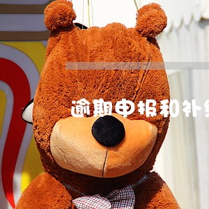 逾期申报和补缴税款的区别 逾期申报和补缴税款的区别