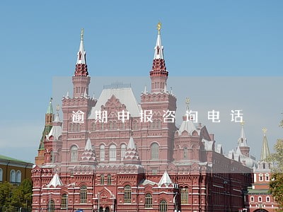 逾期申报咨询电话 逾期申报咨询电话