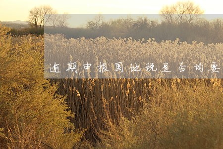 逾期申报国地税是否均要处罚 逾期申报国地税是否均要处罚