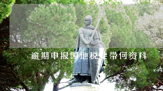 逾期申报国地税要带何资料 逾期申报国地税要带何资料
